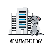 Best Apartment Dogs