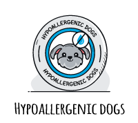 Best Hypoallergenic Dogs