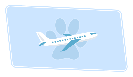 Air travel icon