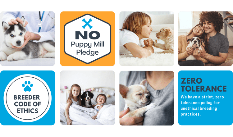 No Puppy Mill Pledge Header